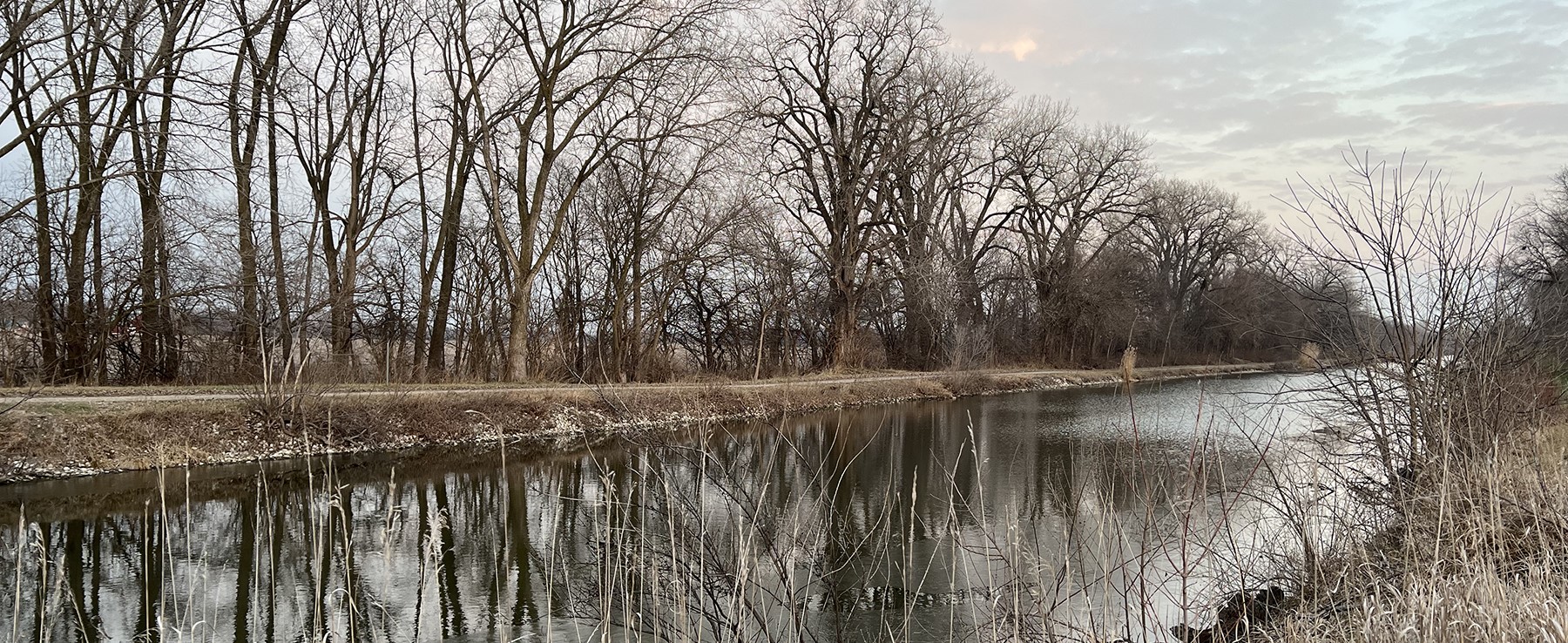 A Day in the Life of a Local Tourist